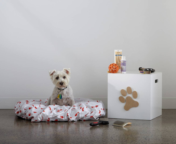 Jack and Jill Boxes